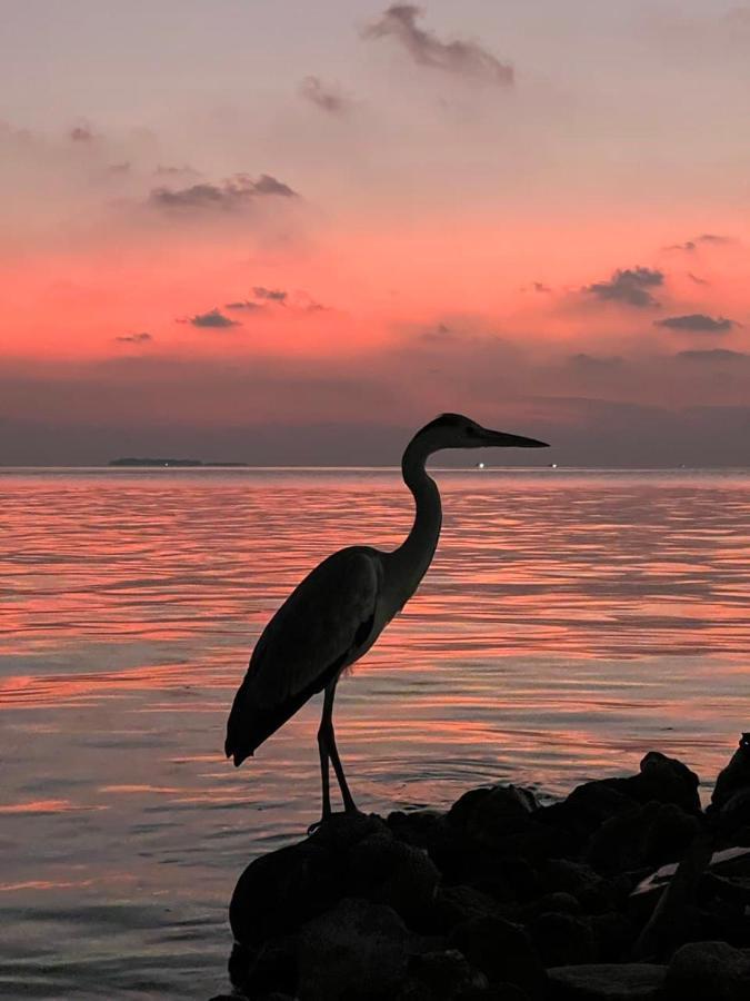 Raalhu Dhangethi Bed & Breakfast Luaran gambar